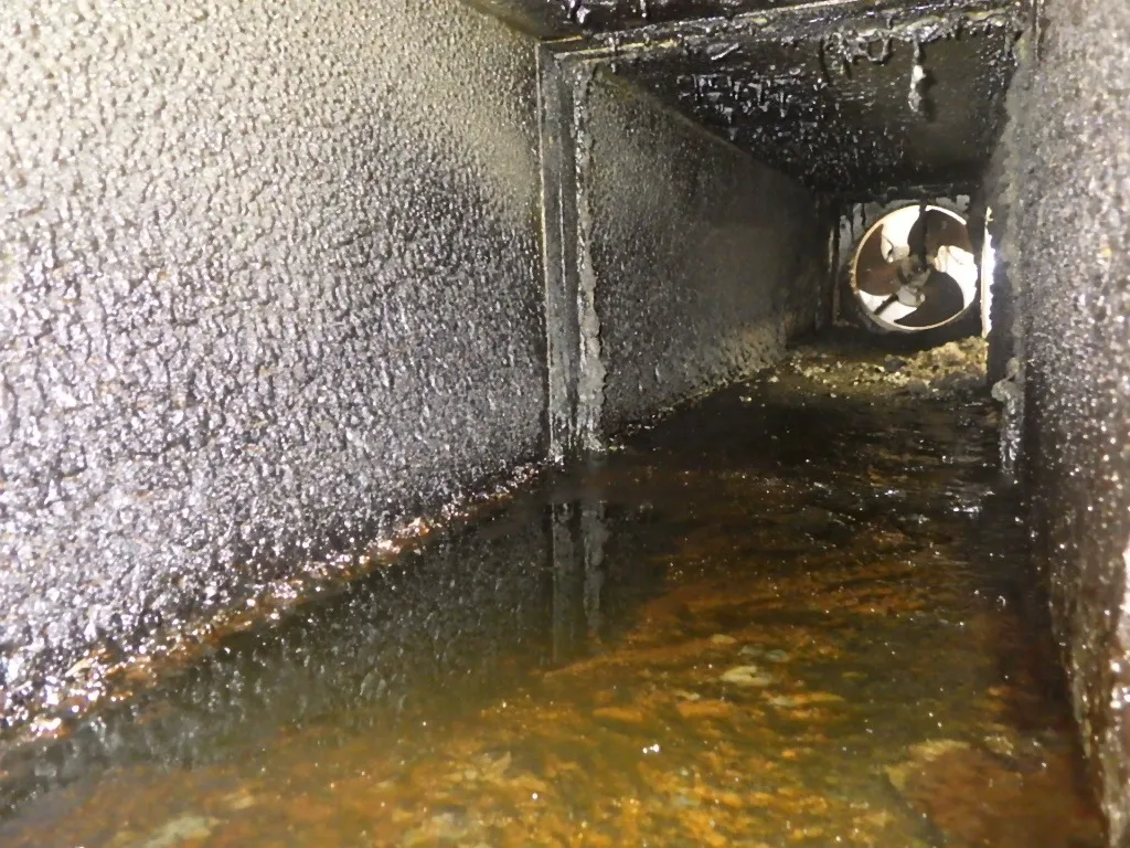 【大阪府】　飲食店　厨房排気設備清掃